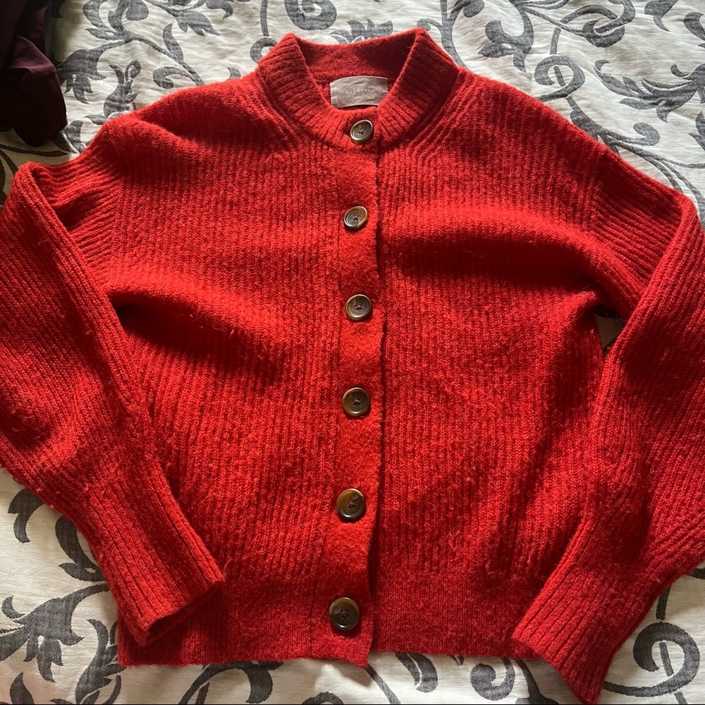 Everlane red sweater